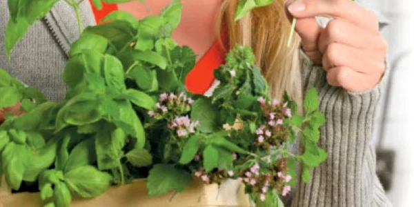 Ierburile aromatice adăugate în salate întăresc imunitatea