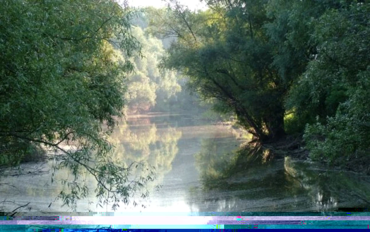 Peisaje de vis la Dunăre FOTO ostroaveledunarii.ro