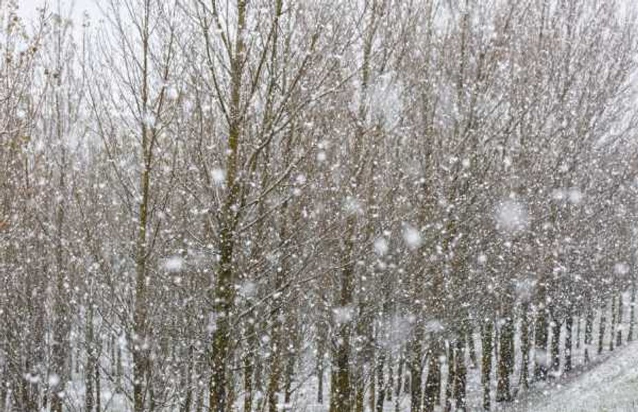 Ninsori în Spania, după o secetă îndelungată şi un val de căldură timpuriu