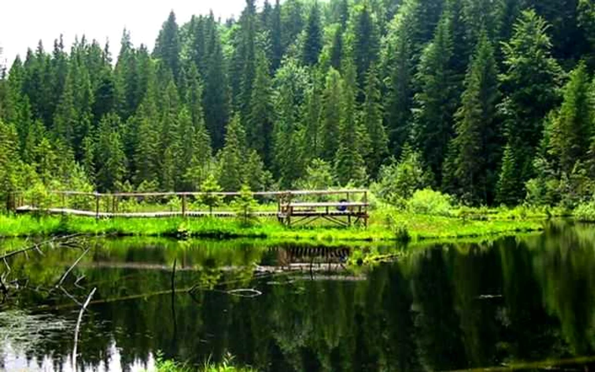 lacul negru