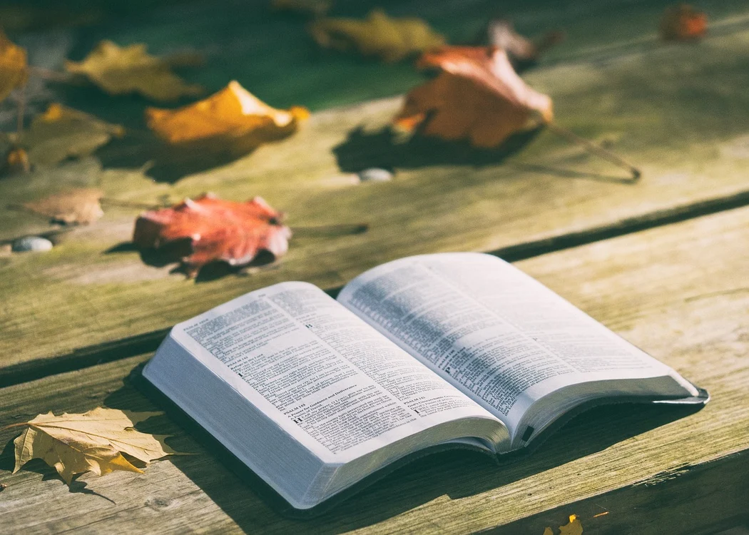 Biblie / foto: Pixabay 