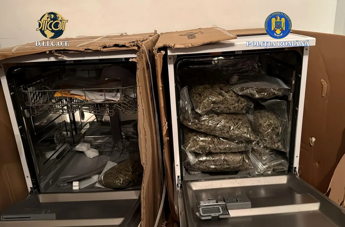 Ce au găsit oamenii legii la perchezitii. FOTO Poliția Română