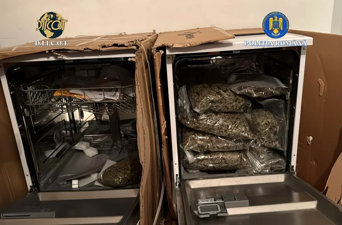 Ce au găsit oamenii legii la perchezitii. FOTO Poliția Română
