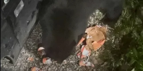 Un urs a spart o mașină și a băut 69 de doze de bere și suc Foto Captură video YouTube jpg