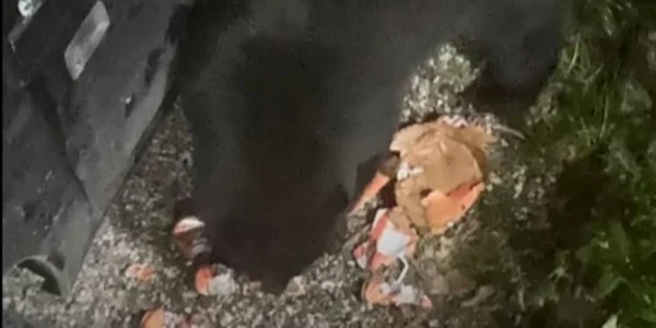 Un urs a spart o mașină și a băut 69 de doze de bere și suc Foto Captură video YouTube jpg