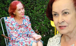 banner sanda taranu png