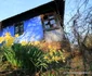 Roșia, Valea Geoagiului Foto Daniel Guță ADEVĂRUL (60) JPG
