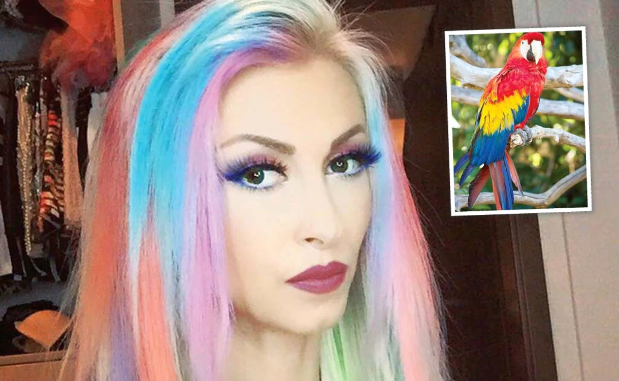 
    Andreea Bălan este tare mândră  de look-ul “papagal”,  lansat de vedetele de la Hollywood   