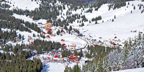 arieresni shutterstock 177109256 jpg