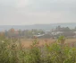 Șușani.