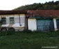 Transluncani Foto Daniel Guță ADEVĂRUL (16) JPG