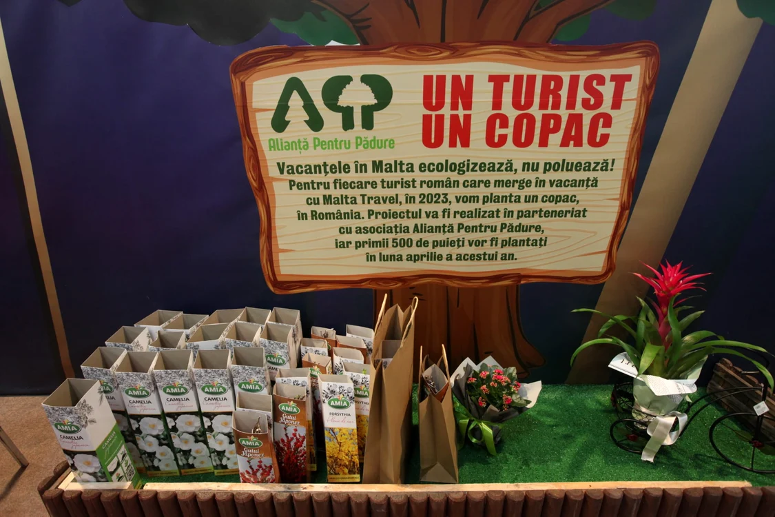 Ofertă deosebită la Malta Travel