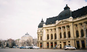 De ale vieții jpeg