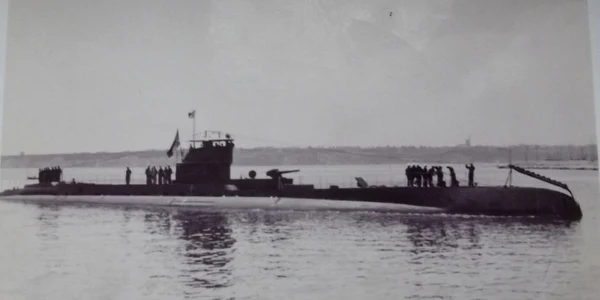 delfinul