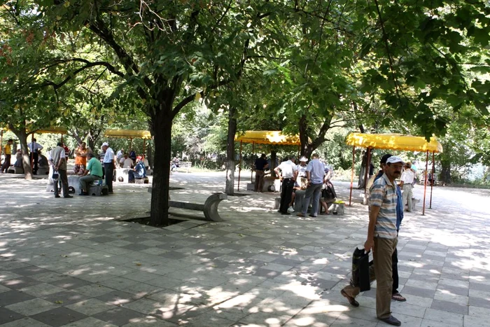 Petrece cât mai mult timp în parcuri și grădinik, acolo unde aerul este mult mai respirabil