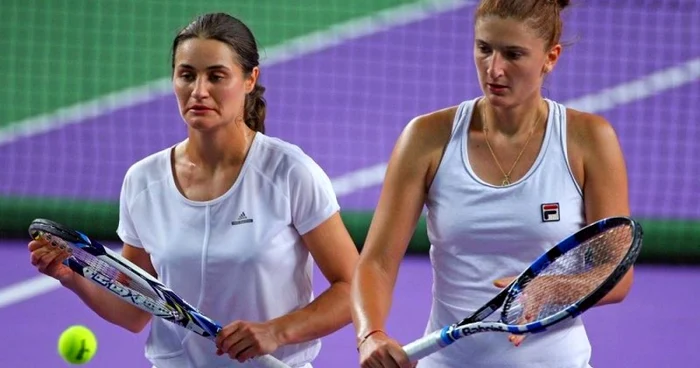 Niculescu - Begu