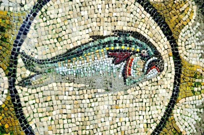 shutterstock 51669637 jpg jpeg