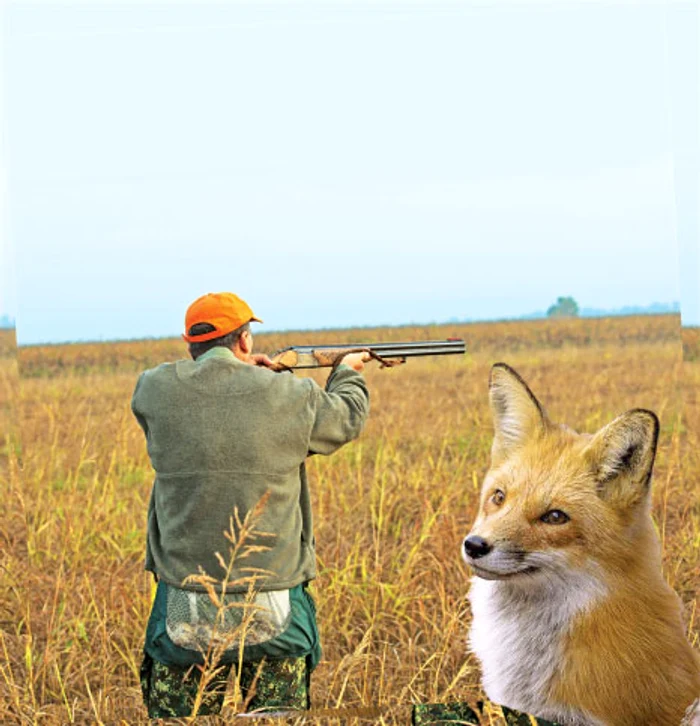 
    Bărbatul nu avea autorizaţie pentru a vâna în zonă  