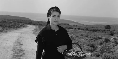 irene papas profimedia 0365431229 (1) jpg