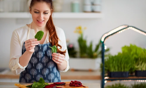 2 shutterstock 1931634947 jpg jpeg