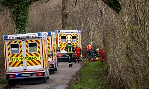 germania tragedie AP jpg