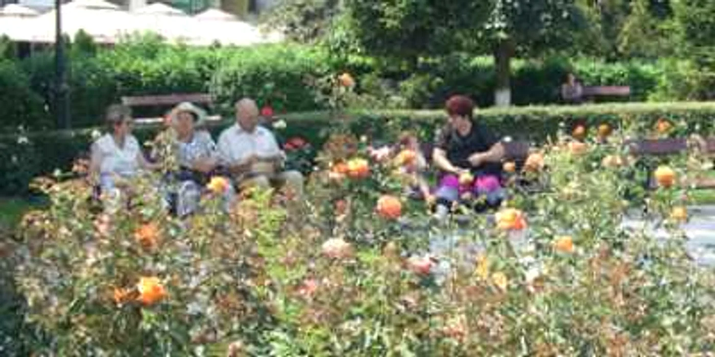 Bacău: Bacăul, ornat cu flori din serele Primăriei
