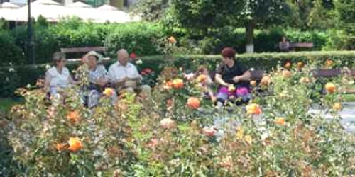 Bacău: Bacăul, ornat cu flori din serele Primăriei