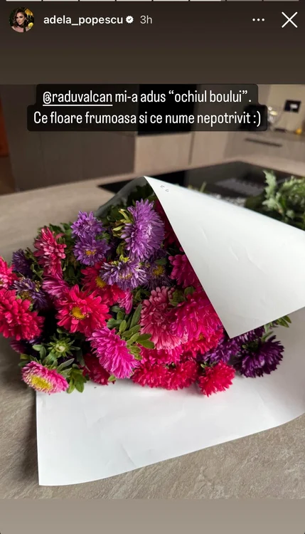 Radu Vâlcan, cadou pentru Adela Popescu / Foto: Instagram
