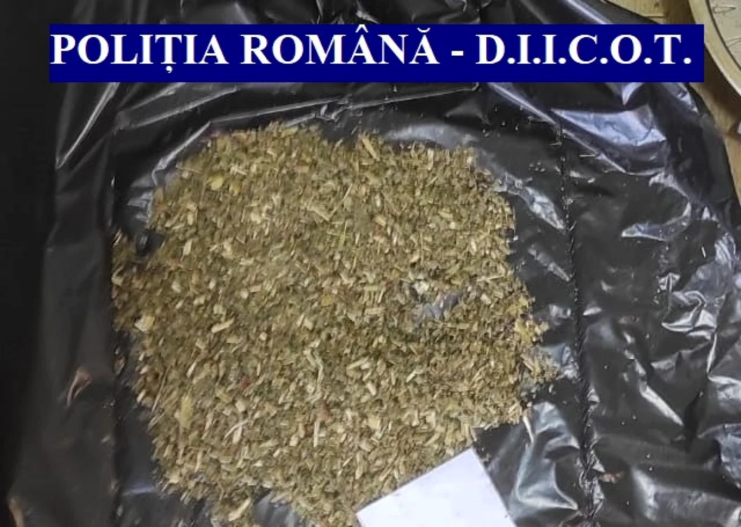 Drogurile au fost confiscate de poliţişti FOTO Poliţia Română