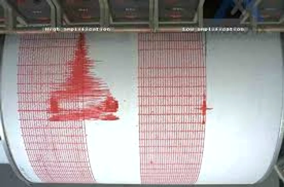 
    Cutremurele a avut epicentrul în zona Buzău  