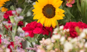 close up beautiful flower bouquet jpg