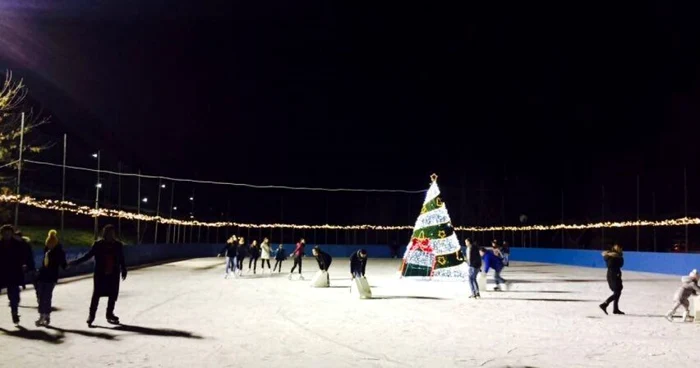 patinoar arad