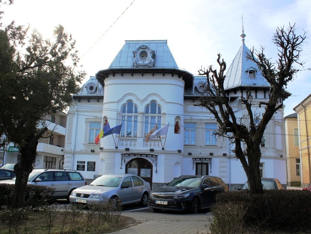 Casa Vasile Moangă este scoasă la vânzare cu 2.000.000 de euro              Foto: paginaolteniei.ro