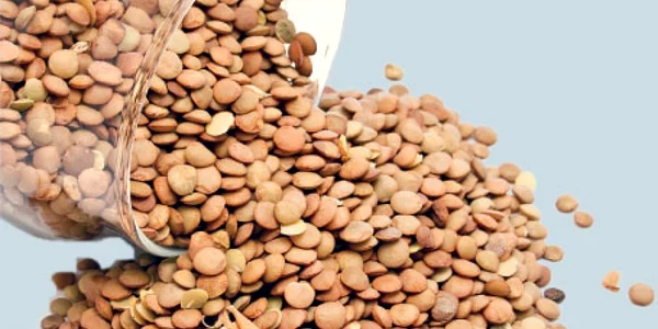 Lintea este apreciată de nutriţionişti pentru bogăţia substanţelor active
