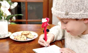 Îl poţi închiria pentru  copilul tău cu 100 de euro (foto: Alexandru Popescu) jpeg