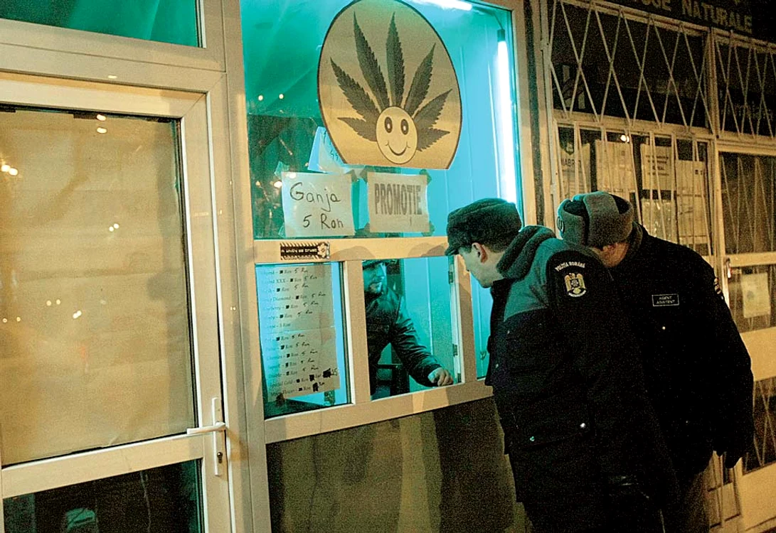 
    Poliţişti şi procurori DIICOT Timişoara au efectuat ieri, opt percheziţii la Timişoara şi opt la Craiova pentru a reţine persoane suspectate de trafic de canabis şi etnobotanice  