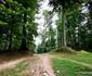 sarmizegetusa regia iulie 2021 foto daniel guta adevarul