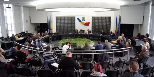 consiliu local tulcea 