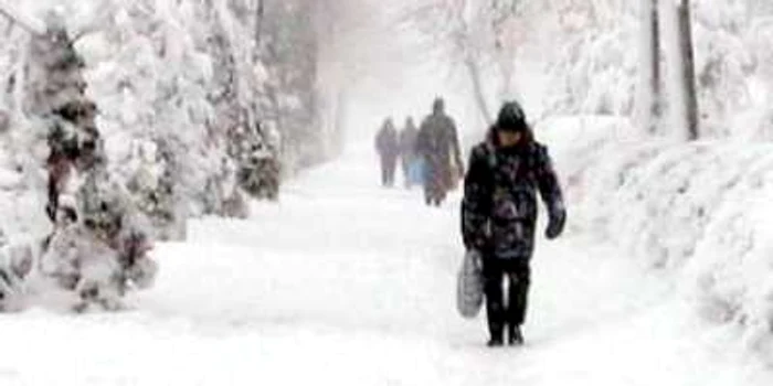Temperaturile scăzute şi boala au fost fatale pentru micuţul de 13 ani
