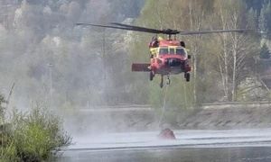 incendiu Cetateni 1, ziua 2 foto ISU Argeş jpg
