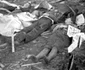 historia ro undefined jpeg