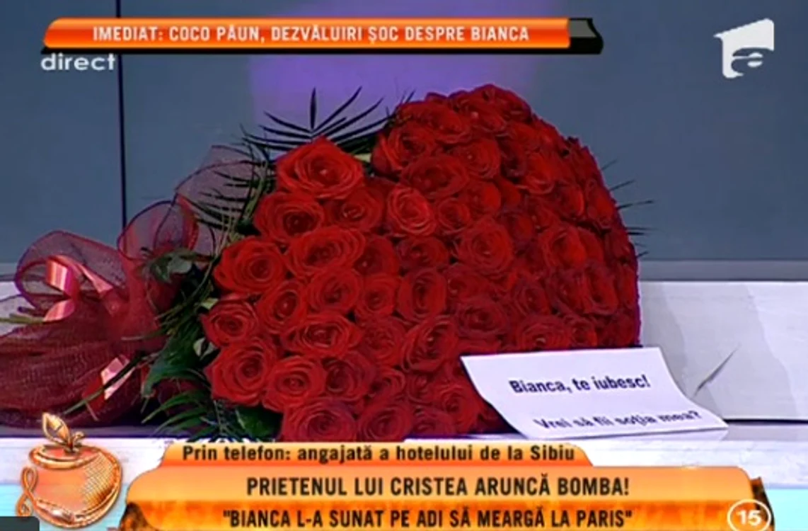 Trandafiri Cristea