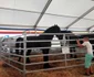 agromalim