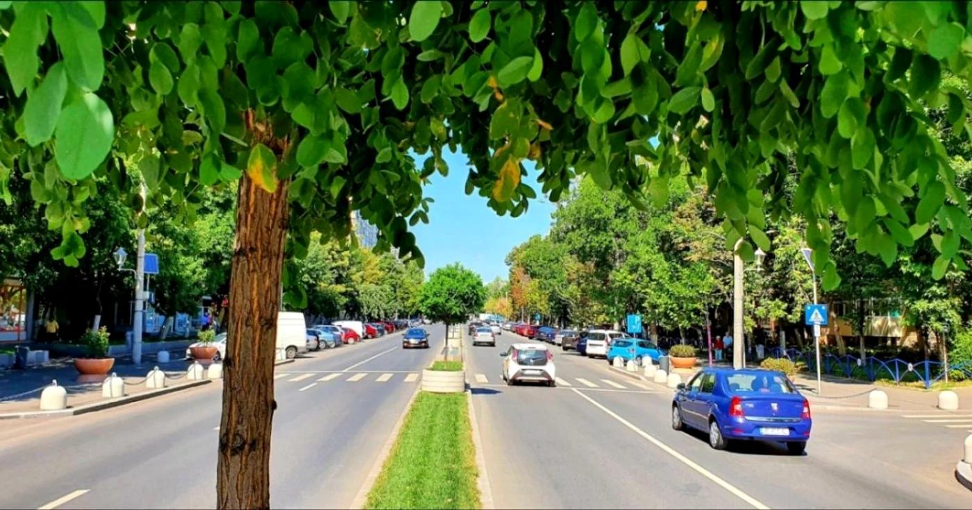 impadurire sector 4 bucuresti