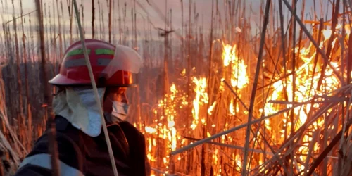 Malurile Oltului mistuite de flăcări pe 20 de hectare la Băbeni Vâlcea Foto Adevărul 1