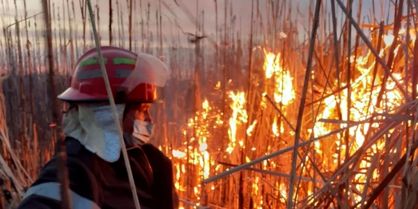 Malurile Oltului mistuite de flăcări pe 20 de hectare la Băbeni Vâlcea Foto Adevărul 1