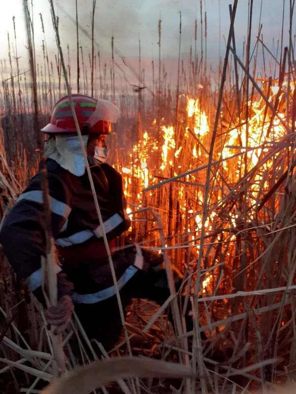 Malurile Oltului mistuite de flăcări pe 20 de hectare la Băbeni Vâlcea Foto Adevărul 1