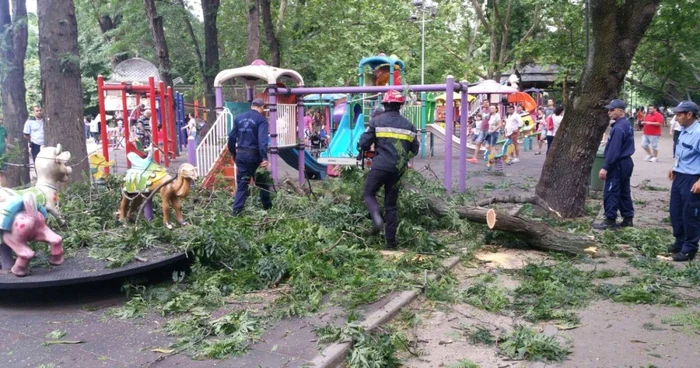 O creangă ruptă în Cişmigiu a rănit mai mulţi copii, dar şi adulţi SURSA: ISU