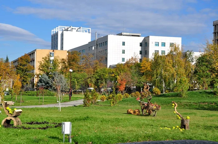 Acestea sunt cele mai bune locuri pentru picnic în aer liber din București, în viziunea celor care au creat harta