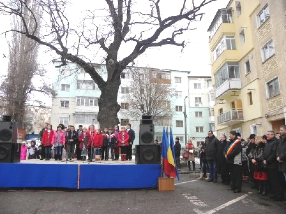 stejarul unirii